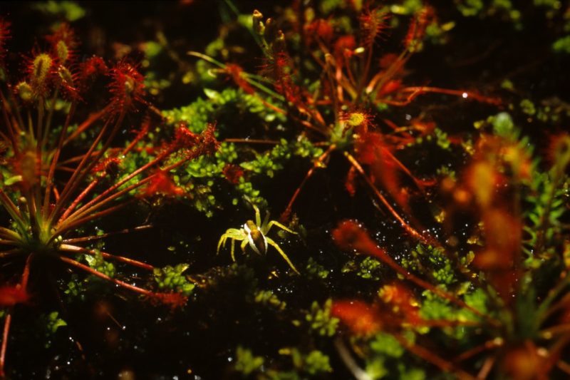 Exposition photographique à l'Abbaye Royale de l'Epau