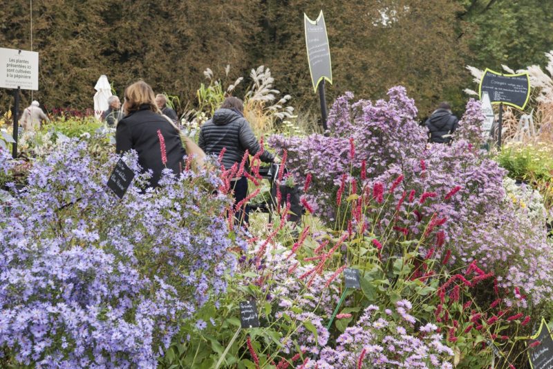 Les plantes des Jardins de Chantilly