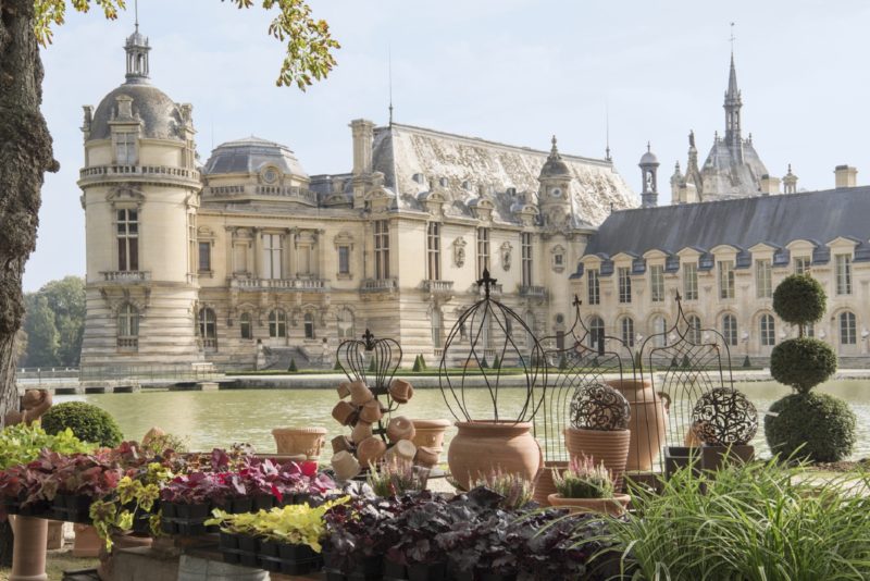 Les plantes des Jardins de Chantilly