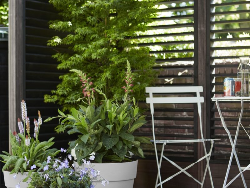 POUR UN JARDIN CLASSIQUE MAIS CONTEMPORAIN - Maison et jardin magazine