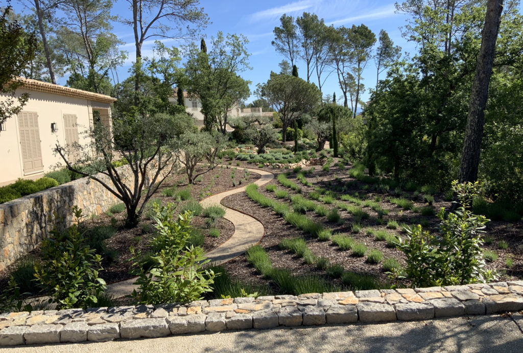 Maison & Jardin Magazine Auffray Jardinage en famille