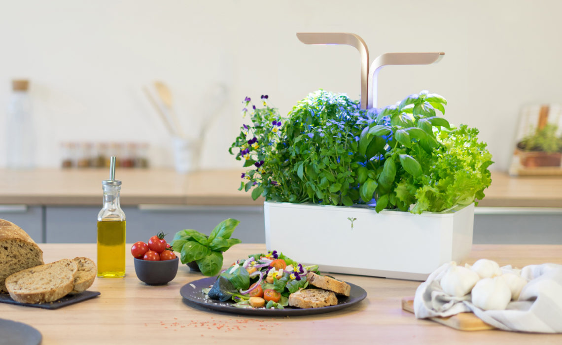 Maison & Jardin Magazine Jardiner chez soi