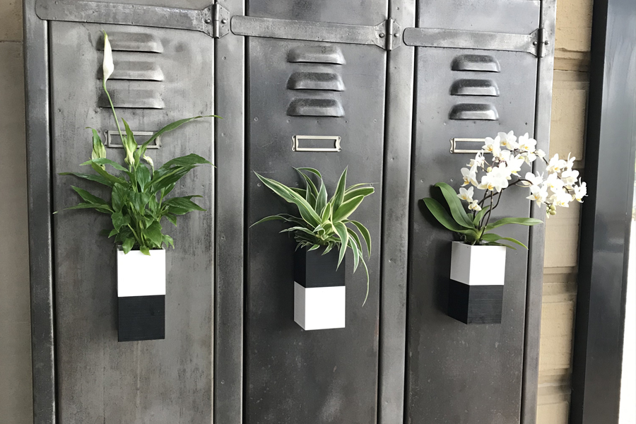 Maison & Jardin magazine, l'arrosage automatique des plantes d'intérieur