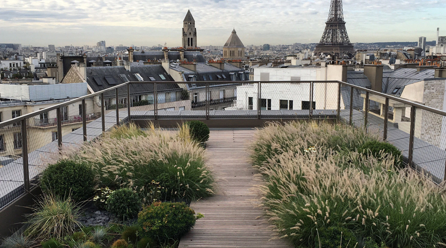 Maison & Jardin magazine rencontre avec Cmonjardinier.com
