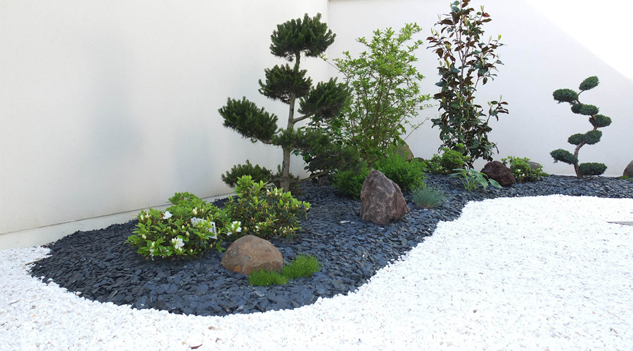 Maison & Jardin magazine rencontre avec Cmonjardinier.com