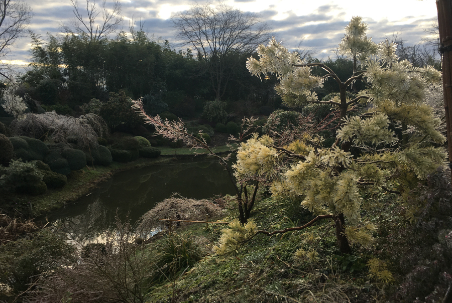 Maison & Jardin magazine, visite le jardin zen d'Erik Borja