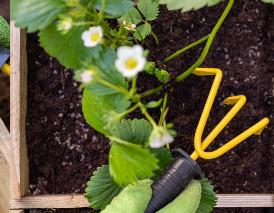 Maison & Jardin magazine aime les engrais écologiques Solabiol