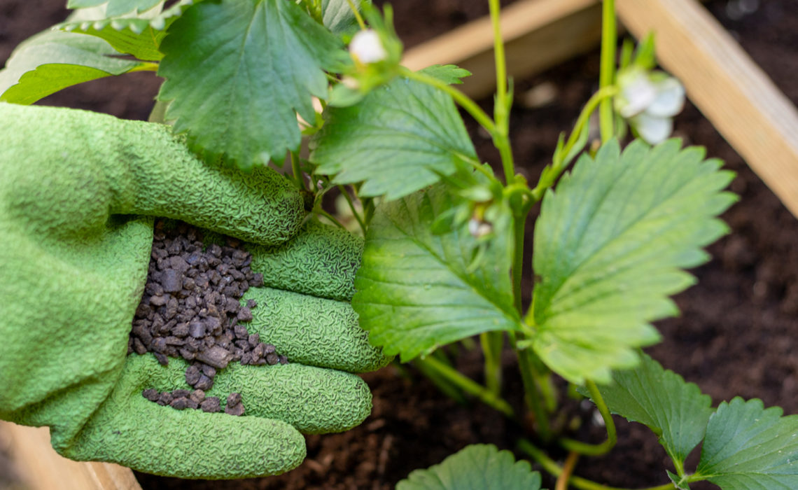 Maison & Jardin magazine aime les engrais écologiques Solabiol