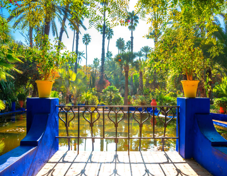 Le jardin de Majorelle, l'un des jardins les plus enchanteurs du Maroc.