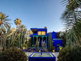 Maison & Jardin magazine, en visite au jardin de Majorelle