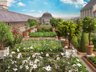 La reconstitution du jardin d'Amboise