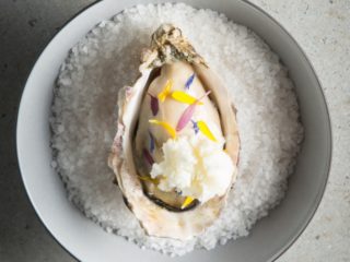 REVOL PRESENTE EQUINOXE BLANC CUMULUS