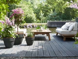 Un pot classique pour le romantique moderne