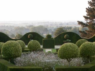 arbustes tailles arrondi