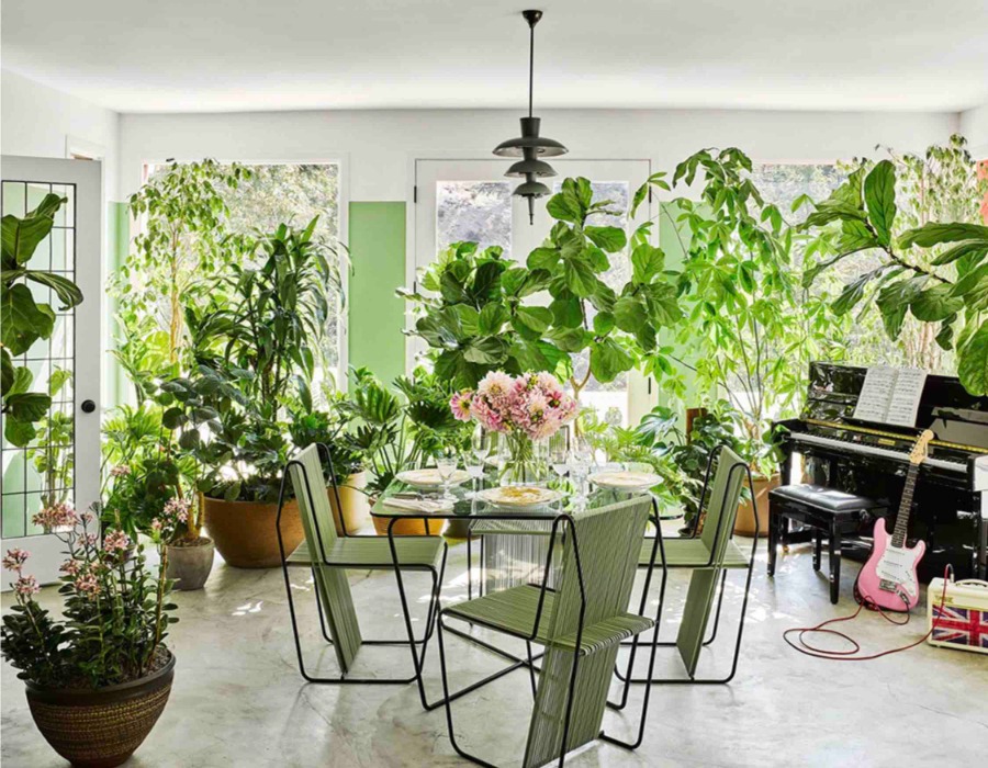 table en verre et chaise verte dans une piece remplie de plante et de fleur et des instruments