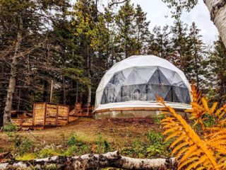 Chalets en bois, dans la nature ecologique