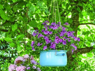 4 DIY avec des géraniums