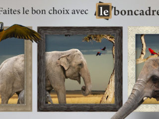 Leboncadre, l'encadrement haut de gamme et sur-mesure.