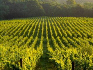 4 incontournables en Nouvelle-Aquitaine