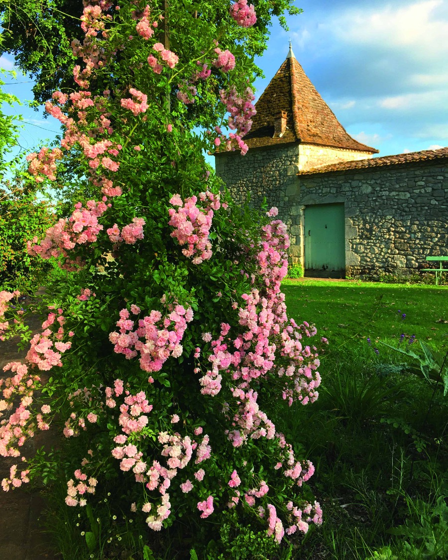 4 jardins remarquables en Nouvelle-Aquitaine