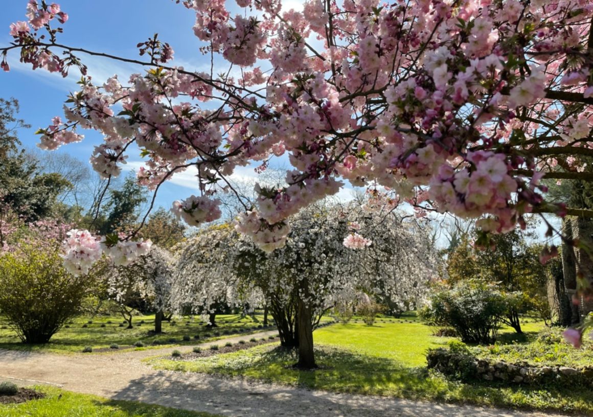 Les plus beaux jardins, Jardin de Ninfa, Italie