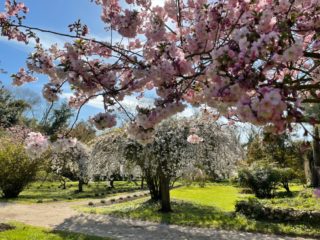 Les plus beaux jardins, Jardin de Ninfa, Italie