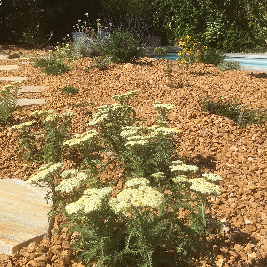 Un jardinier pour vos aménagements paysagers