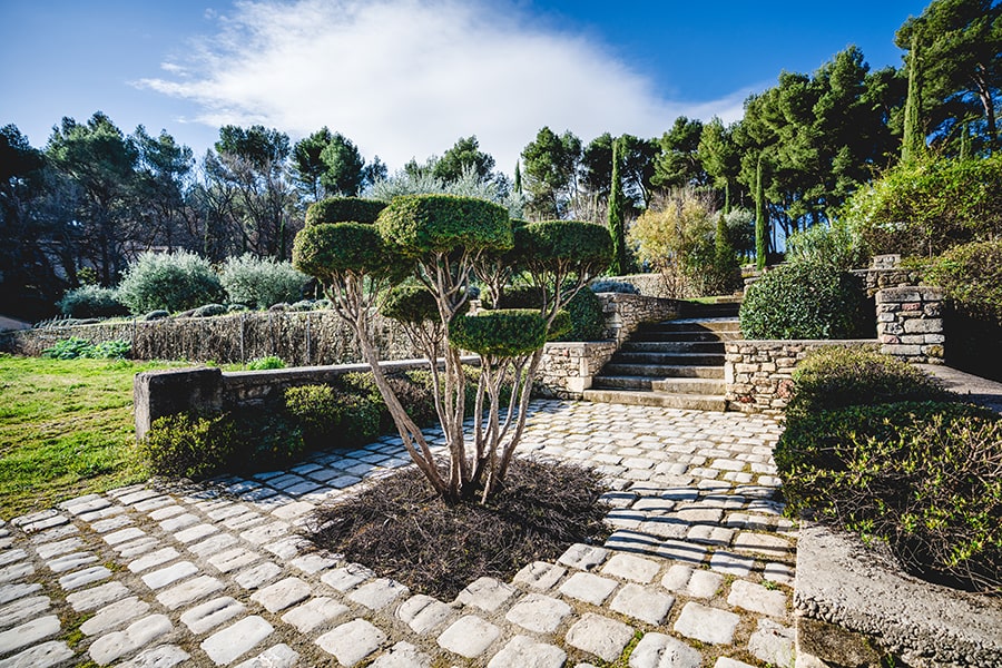 Paysagiste dans le Luberon