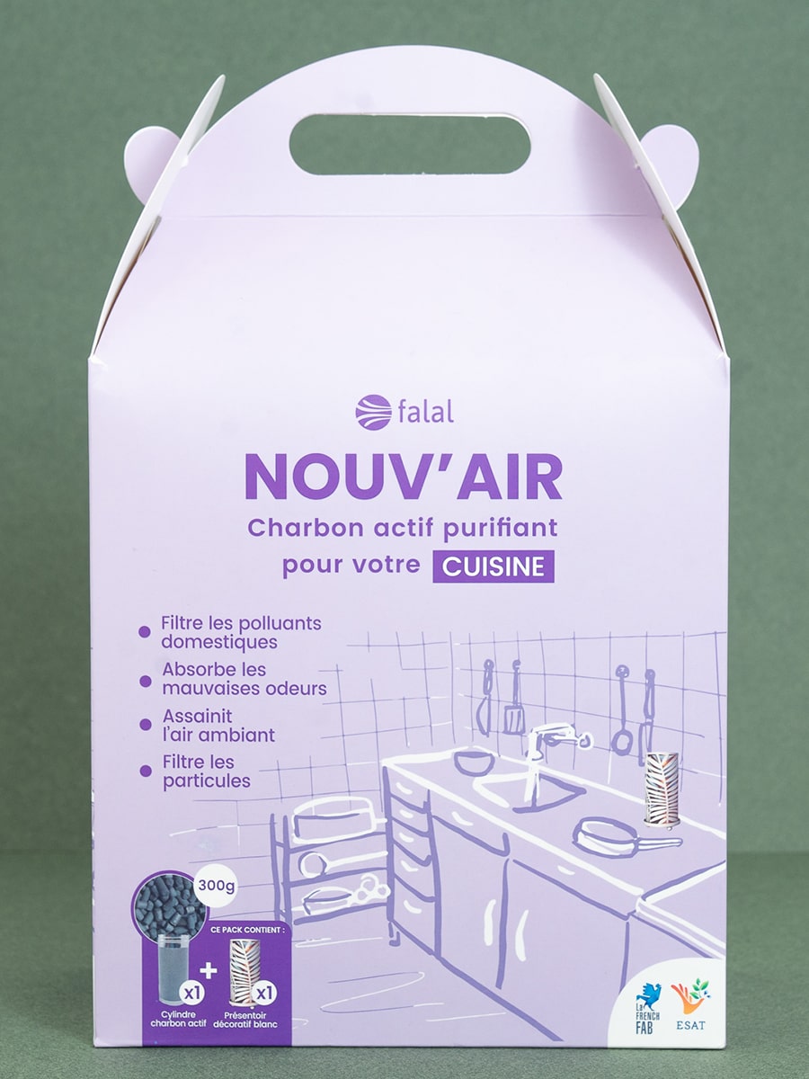 filtre antipollution