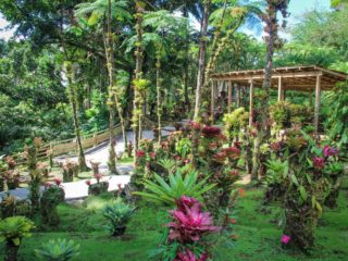 Jardin botanique de Balata
