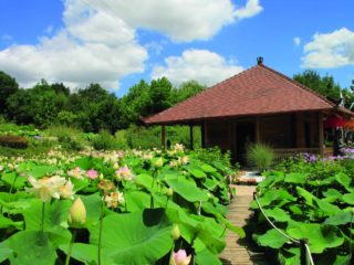 Parc Floral Jardin des Martèles au nord de Toulouse