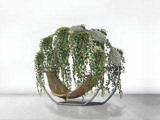 designer symbiotique