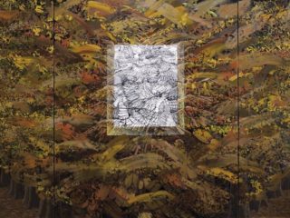 Un artiste peintre éclectique