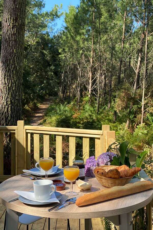 Bienvenue dans nos éco-lodges dans les Landes – Green Resort