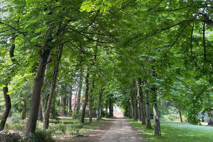 Des gîtes en Ariège pour un séjour bien-être