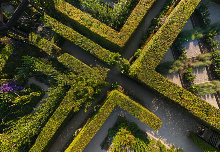 Un jardin des sens au cœur d'Yvoire