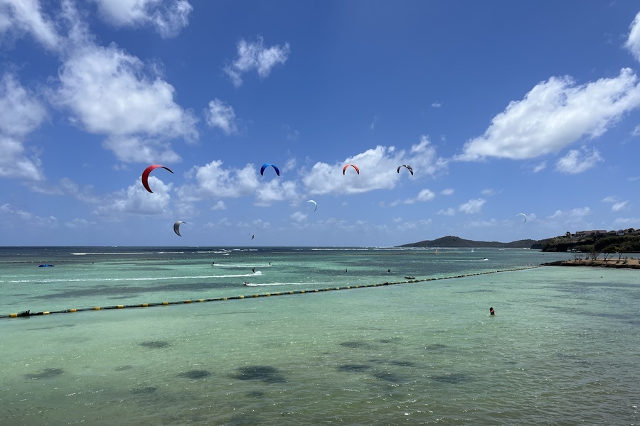 Villa en Martinique : confort, luxe et nature