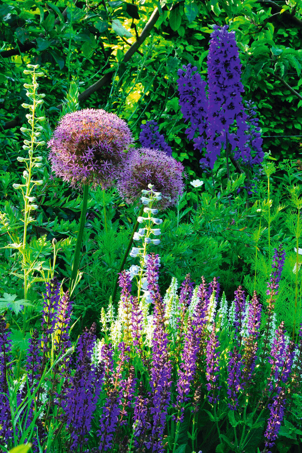 Un jardin des sens au cœur d'Yvoire