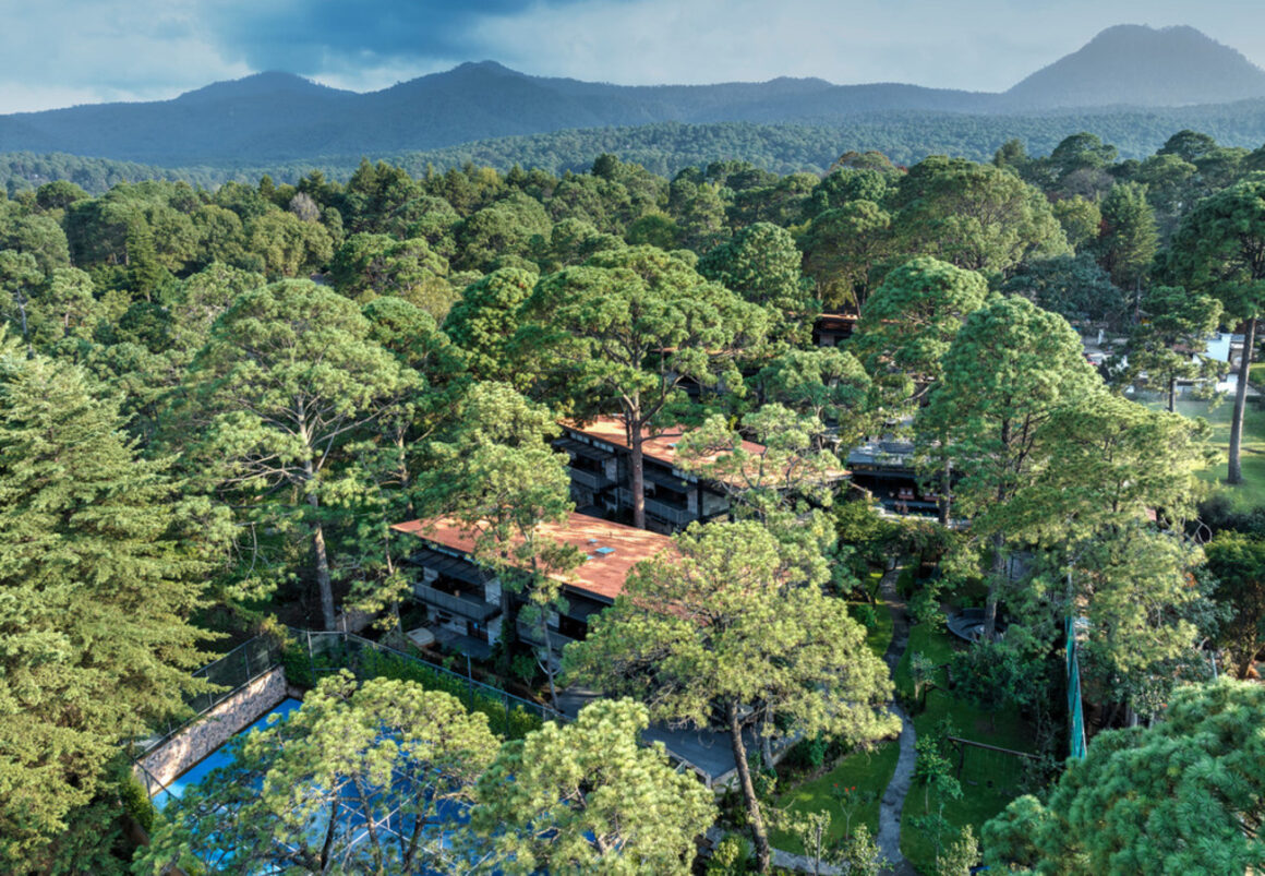 Maisons durables en harmonie avec la nature à Mexico