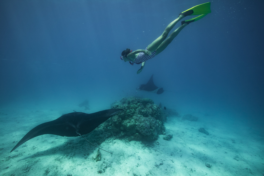 Fafarua - Île privée & lodge d'exception à Tikehau