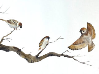 Christelle Roncali-Pellet : artiste peintre aquarelliste