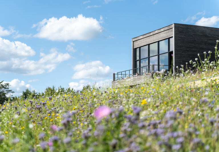 Des séminaires d'entreprise sur-mesure à La Gacilly – Maison Yves Rocher