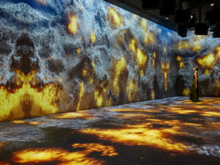 Musée du Bien-Être à Nathdwara : une Expérience Immersive