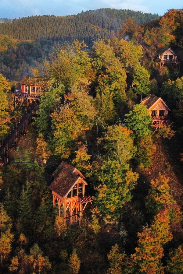 Dormir dans une cabane familiale dans les arbres