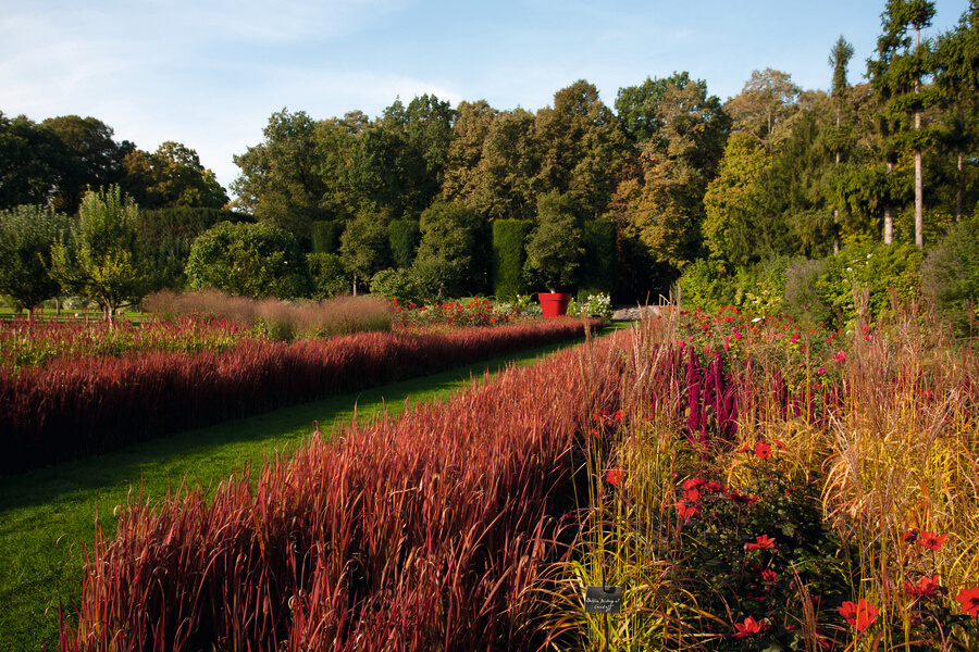 Le château du Rivau et ses jardins enchantés