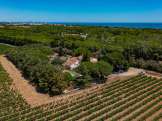 Un domaine viticole qui perpétue l’art de la vigne