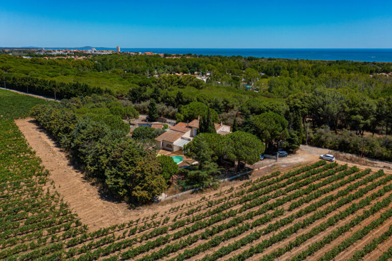 Un domaine viticole qui perpétue l’art de la vigne