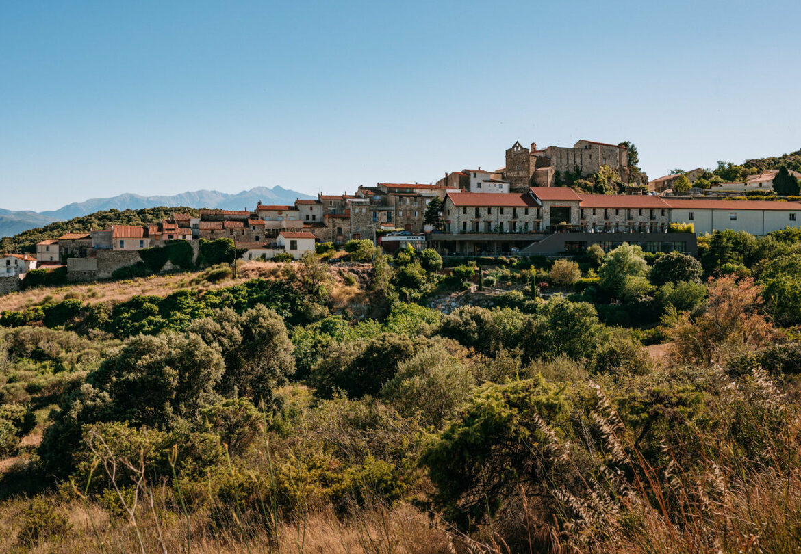 Domaine Riberach : dormir dans un vignoble au cœur des terres catalanes Domaine Riberach : dormir dans un vignoble français
