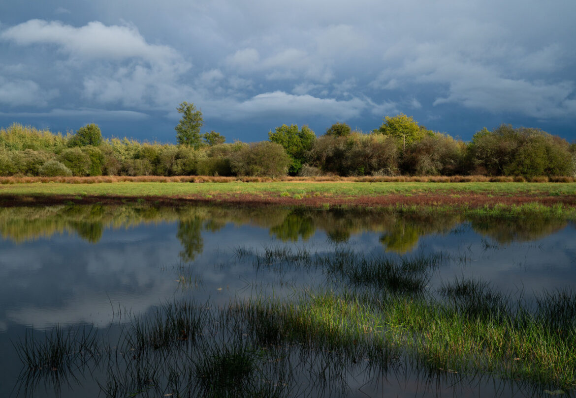 Tous ensemble avec WWF – L’association de protection de l’environnement WWF France : association de protection de l'environnement