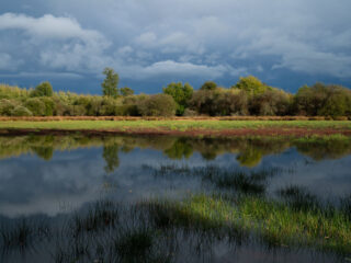 WWF France : association de protection de l'environnement